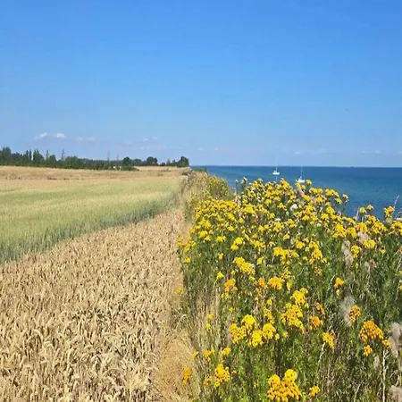 6 Person In Gedser-by Traum *