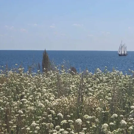 Nyaraló 6 Person In Gedser-by Traum