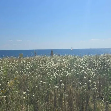 6 Person In Gedser-by Traum *